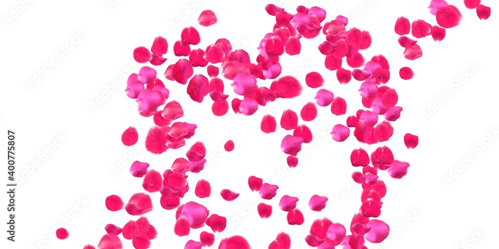 Rose Petals Stock Image Rose Petals Stock Image