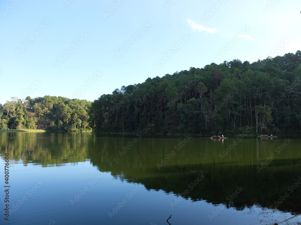 reflection of trees in water. Lake in the park.