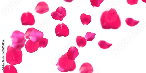 Rose Petals Stock Image