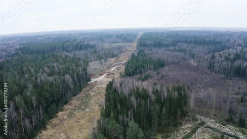 Aerial side flying drone view of huge forest being separated. photo