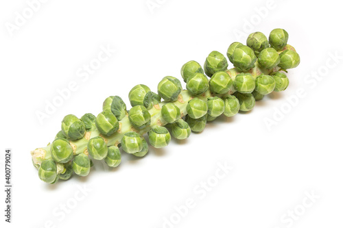 Brussel sprouts on the stem isolated on a  white studio background.