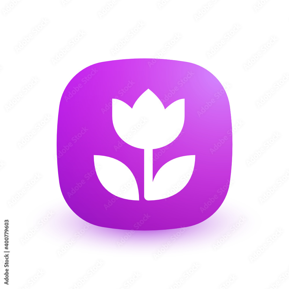 Flower Flower