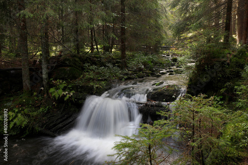 Kleiner Waldbach im Naturschutzgebiet Bayerischer Wald  Bayern  Deutschland  Europa 