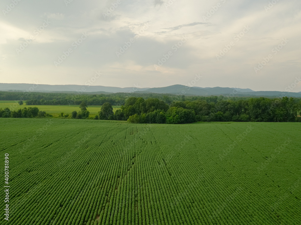 Generic Farm, Crops, Landscape, Green Fields and Sky in Southern USA,  shot on DJI Inspire 2