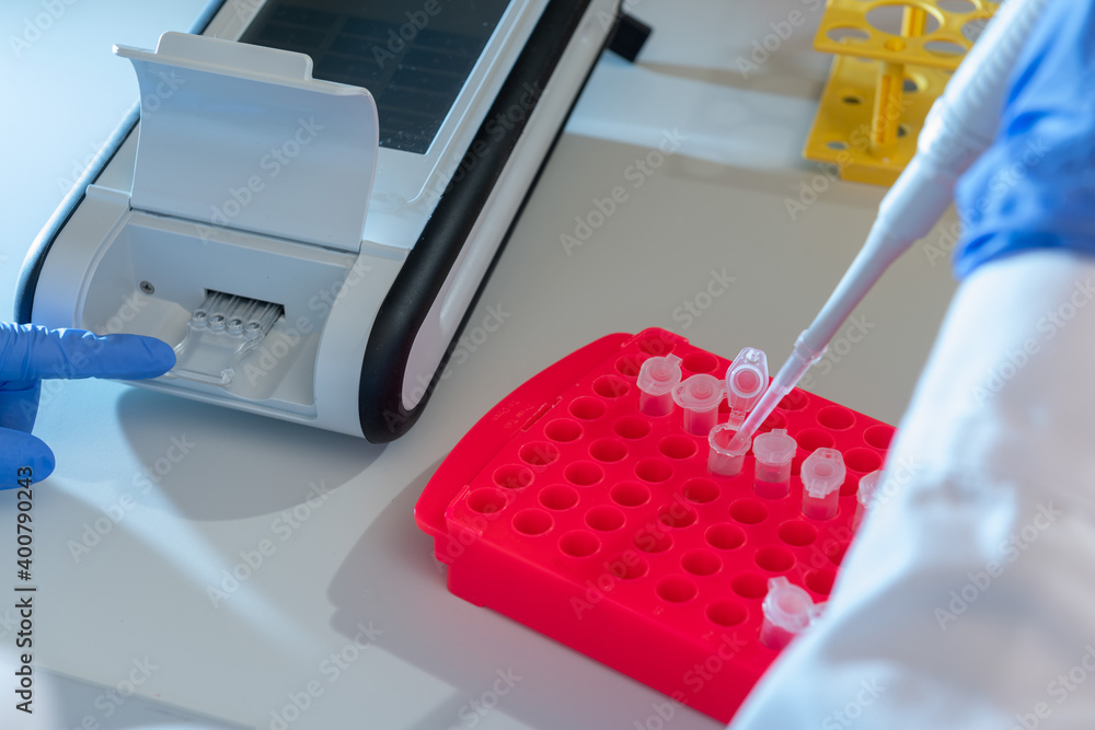 Pipettieren von PCR Proben, PCR Methode zur Erkennung und Virusnachweis im Labor. Pipettieren von PCR Proben, PCR Methode zur Erkennung und Virusnachweis im Labor.