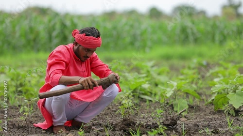 Young indian farmer working at cotton field photo