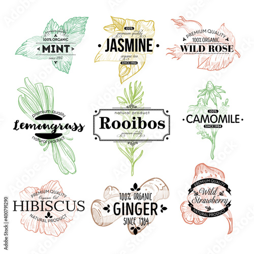 Herbal tea variety, labels with healthy herbs