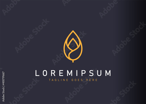 Flower bud logo design. Icon vector illustration of flower buds that also resemble leaves and water droplets. Modern logo design with line art style.