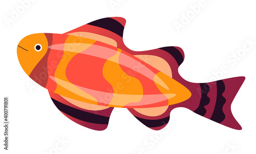 Gold fish with colored fins, sea dweller vector photo
