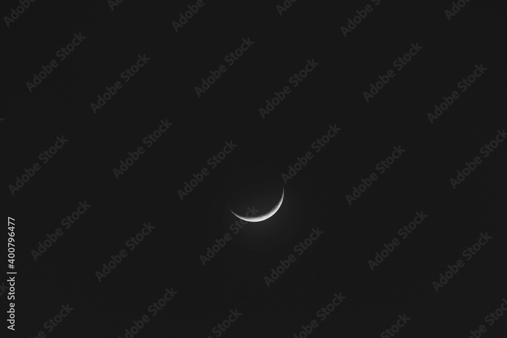moon in the night moon in the night