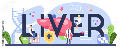 Liver typographic header. Doctor make ultrasound liver examination.
