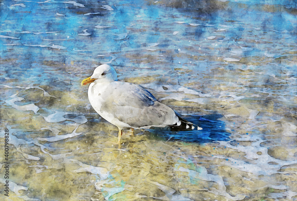 Seagull in waves of baltic sea looking for food. Seagull in waves of baltic sea looking for food.