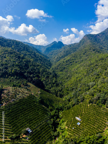 landscape aerial view mountain range and agricultural tangerine farmland in valley at chiangmai Thailand
