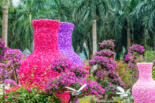 Vase shape of purple bougainvillea spectabilis flower show in Shenzhen, China.  Bougainvillea also known as great bougainvillea, a species of flowering plant. photo