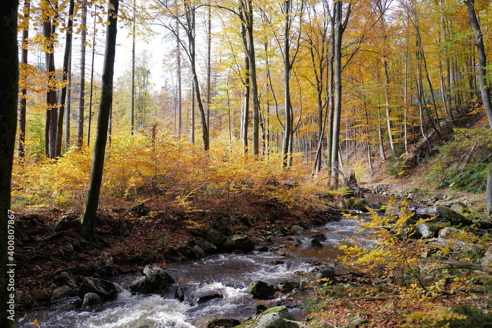Herbstwald, Ilsetal, Harz Herbstwald, Ilsetal, Harz