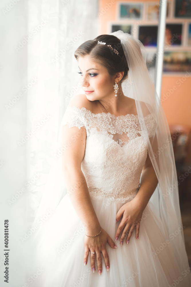 Beautiful bride wearing fashion wedding dress with feathers with luxury delight make-up and hairstyle, studio indoor photo shoot Beautiful bride wearing fashion wedding dress with feathers with luxury delight make-up and hairstyle, studio indoor photo shoot