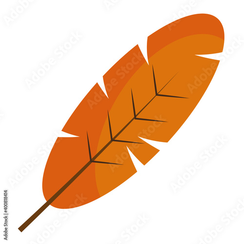 oblong leaf plant style flat vector illustration design