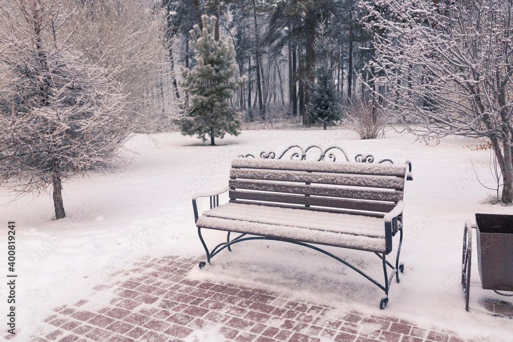 Wooden bench in a winter park among snowy trees. Public space.