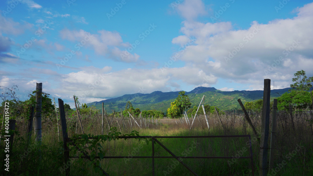 vista de cosecha en primer plano y paisaje de montañas iluminadas por un dia soleado con un cielo despejado