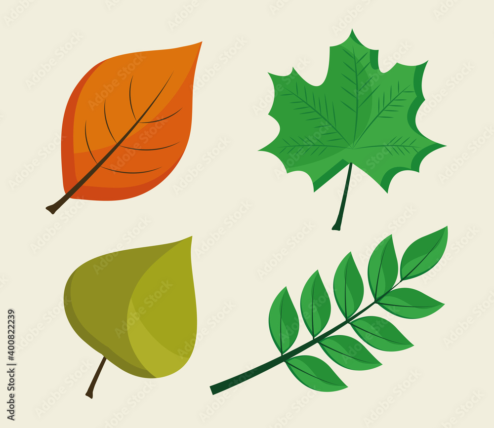 bundle of four leafs plants flat style icons vector illustration design
