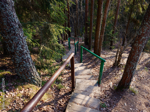 wooden staircase to the hill in the forest