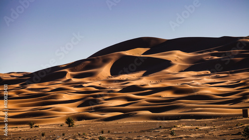 Wydmy piaskowe na Saharze, Maroko, 2017 r.