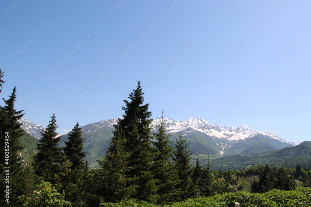 Snowy mountains with green tress in Svanetia, Georgia
