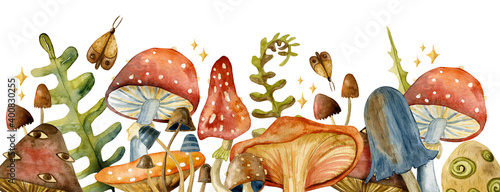 Slika na platnu Border toadstool mushroom with red fly-agaric mushrooms