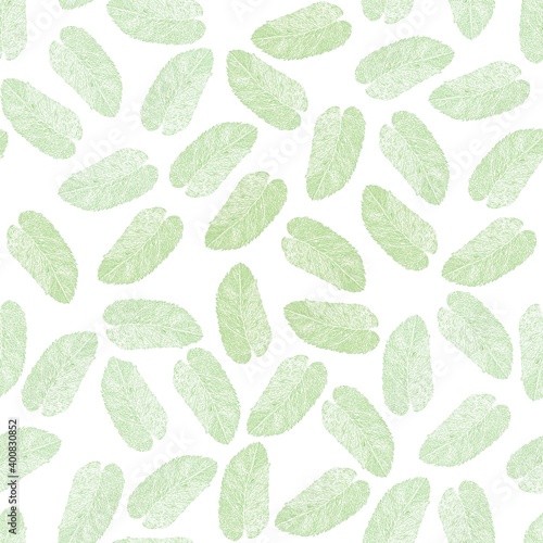  colored pattern of mint leaves.