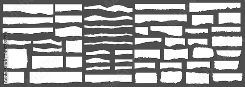 Set of pieces of white torn paper, isolated on grey background. Vector illustration