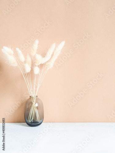 Still life of white dry lagurus flower in gray glass vase