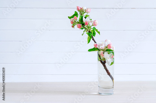 White blooming Apple tree branch in glass on light wooden background. © sergofan2015