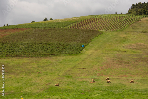 colombia boyaca villa de leyva raquira