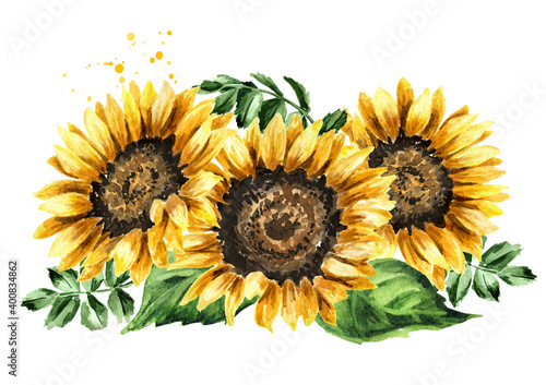 Sunflower with leaves. Hand drawn watercolor illustration, isolated on white background