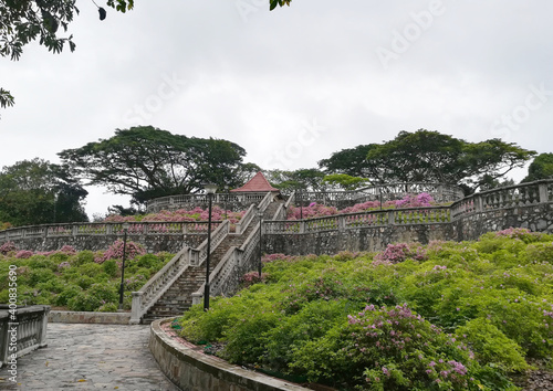 Vista de un jardín con flores rosas en Singapur