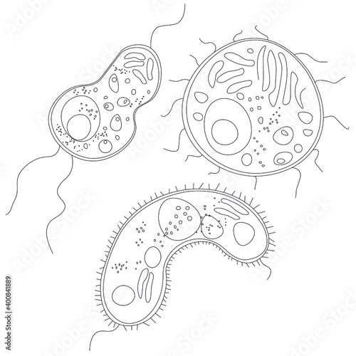 
set of black and white bacteria. coloring germs.