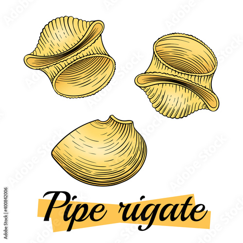 Pipe rigate Italian pasta, isolated on white. Group of pipe rigate close-up. Pasta italiana package design element. Pasta secco for cook or recipe book. Simple quick side dish , in color. Vector.