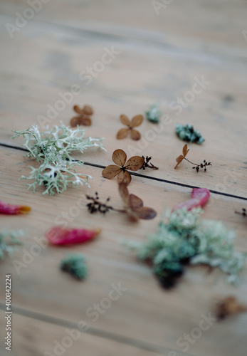 Moss and flowers laid on a table