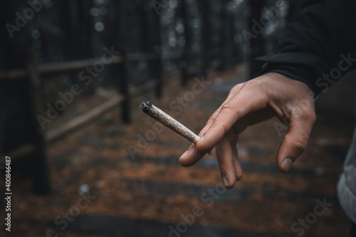 Hand of man holding cigarette while standing in forest