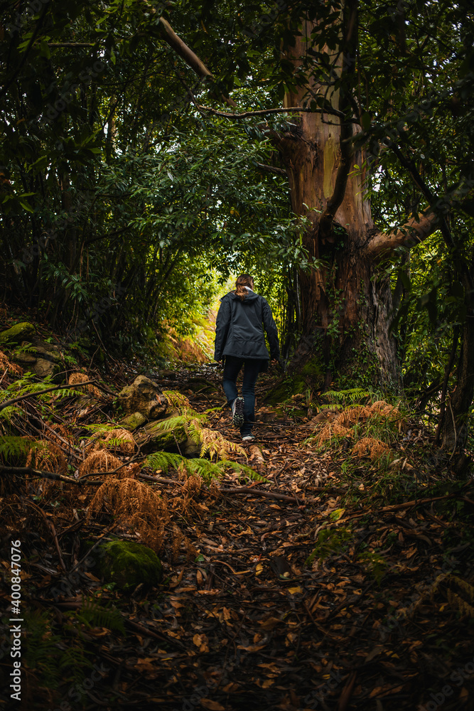Rear view of woman walking in forest during rainy season Rear view of woman walking in forest during rainy season