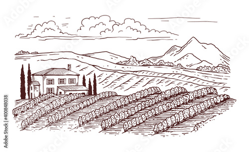 Black thin line engraved vineyard rural landscape, vector illustration isolated.
