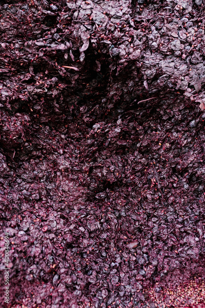 Crushed grapes at winery Crushed grapes at winery