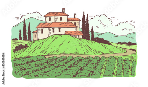 Countryside landscape with vineyard and cottage vector illustration isolated.