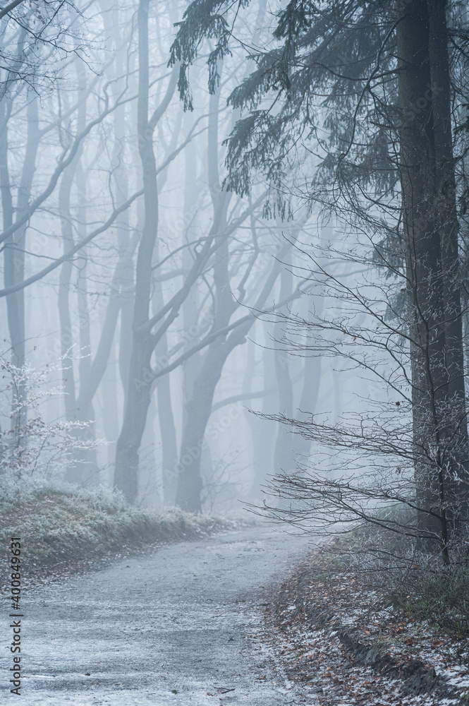 Obraz premium Breeze of winter in Owl Mountains, Poland