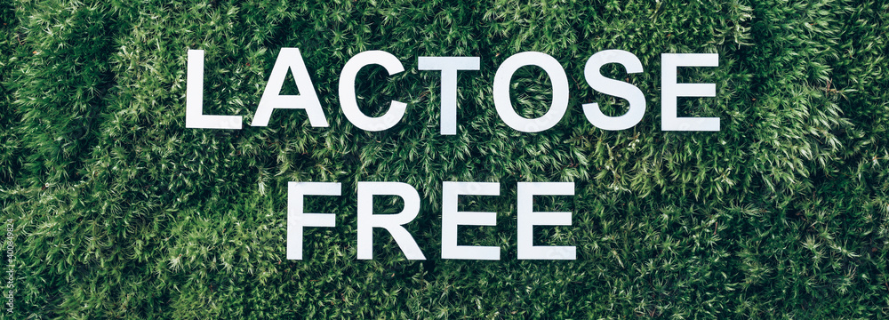 Inscription Lactose free on moss, green grass background. Top view. Copy space. Banner. Biophilia concept. Nature backdrop. Healthy diet