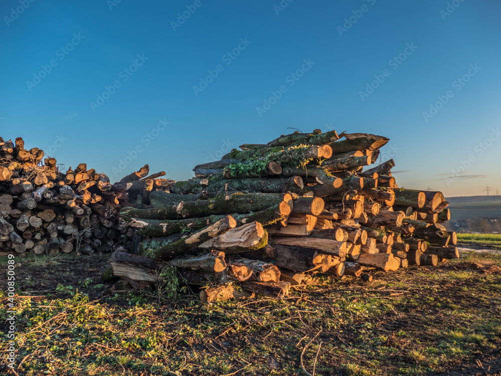 Holzlager zur Weiterverarbeitung zu Rindenmulch