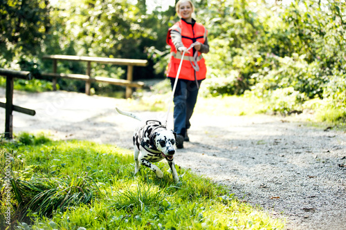 Female instructor mantrailing Dalmatian dog at park photo