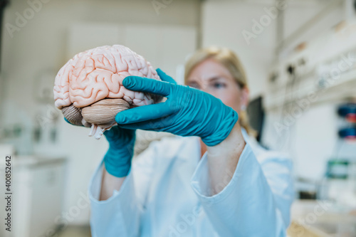 Mature woman holding artificial human brain while standing at laboratory photo