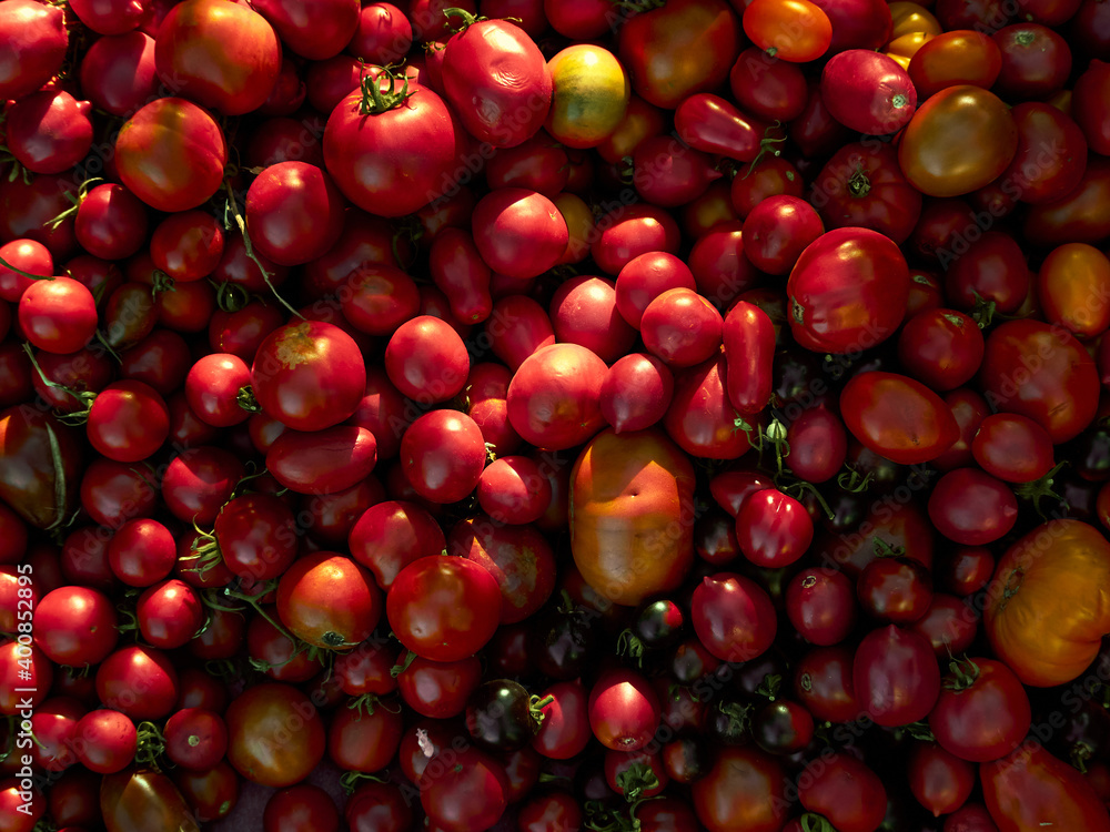 Background with ripe red tomatoes.. Background with ripe red tomatoes..
