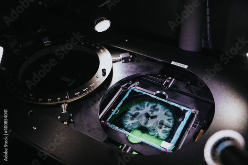 Human brain slide in advance microscope at laboratory